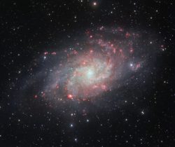 Kolmion galaksi (M33) on Linnunradan ja Andromedan suuri seuralainen paikallisessa galaksiryhmässä. Se on yksi niistä galakseista, joissa tähtien ja kaasupilvien kiertoliikkeen on havaittu kasvavan ulko-osissa. Pimeän aineen massa sitä siellä kiihdyttelee menemään. Kuten viime viikolla jo mainittiin spiraalihaarojen syntymekanismia käsitellessä, tällaiset repaleiset galaksit saattavat syntyä sen seurauksena, että niitä ympäröi poikkeuksellisen tukeva pilvi pimeää ainetta ja tämän perusteella näin tosiaan näyttäisi olevan. Kuva ESO