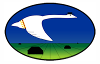 [Cygnus 2010 logo]