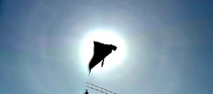 Odd radius halos from Austria