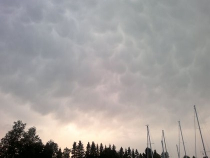 hakkinen_mammatus_small