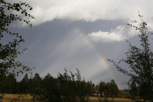 Sateenkaaren puolat 3.9.2014