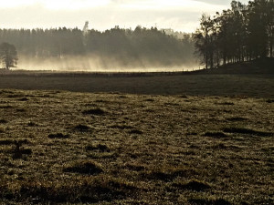 Sumusäteet 19.10.2015