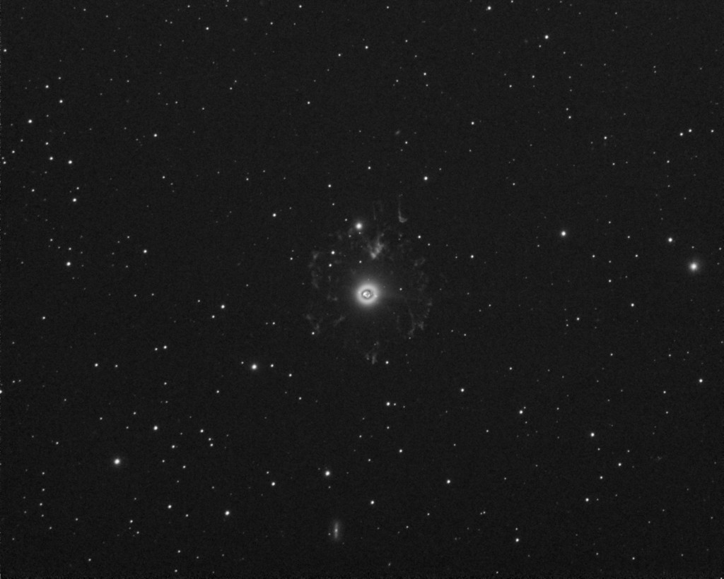 Kissansilmäsumu NGC 6543. Kuvassa näkyvät hyvin sekä sumun sisemmät- että ulommat osat. Kuva: Jouni Raunio.