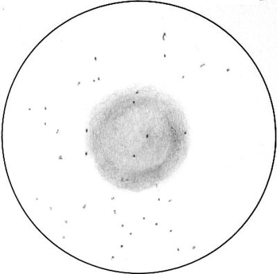 NGC 7293 | Mikko Olkkonen