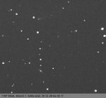 [116P/Wild 4 30.12.08 Veijo Kallio]