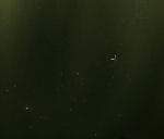 [17P/Holmes 17.11.07 Timo Kantola]