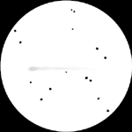 [73P-C/Schwassmann-Wachmann 3 07.05.06 Veikko M&auml;kel&auml;]