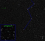 [8P/Tuttle 18.12.07 Kari Tikkanen]