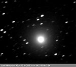 [Juels-Holovorcem 24.2.03 Veikko Kallio]