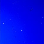 [C/2004 Q2 (Machholz) 28.12.04 Allar Saviauk]