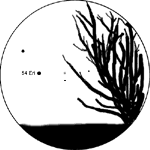 [C/2004 Q2 (Machholz) 12.12.04 Veikko Mäkelä]