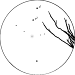 [C/2004 Q2 (Machholz) 21.12.04 Veikko Mäkelä]