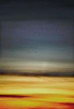 [C/2006 P1 (McNaught) 11.01.07 Jari Kankaanpää]