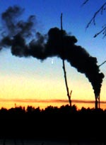 [C/2006 P1 (McNaught) 11.01.07 Teemu Ahlholm]