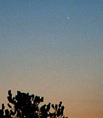 [C/2006 P1 (McNaught) 11.01.07 Veijo Kallio]