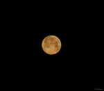 [Kuun puolivarjopimennys 06.08.09 Kari Nyman]