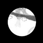 [Mars 08.09.03 Antti Kuosmanen]