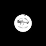 [Mars 06.09.03 Markku Nissinen]