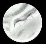 [Mars 01.11.05 Jerry Jantunen]