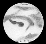 [Mars 11.10.05 Jerry Jantunen]