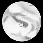 [Mars 14.10.05 Jerry Jantunen]