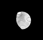 [Mars 17.07.05 Veli-Pekka Hentunen]