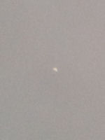 [Venus 25.3.09 Peter von Bagh]