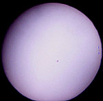 [Merkurius 7.5.03 Allar Saviauk]