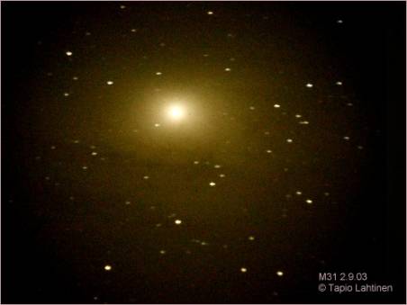 M31