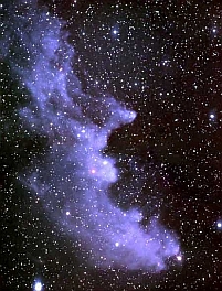 IC2118, The Witch Head Nebula by Antti Kuosmanen