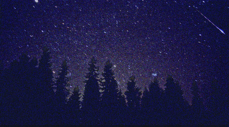 A leonid inaged on the 
night of November 17/18 at Nyrola observatory