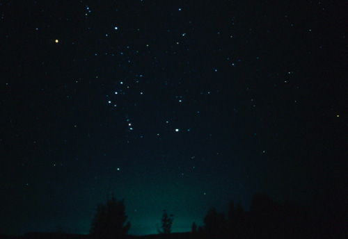 0202_ORION.jpg - 29728 Bytes