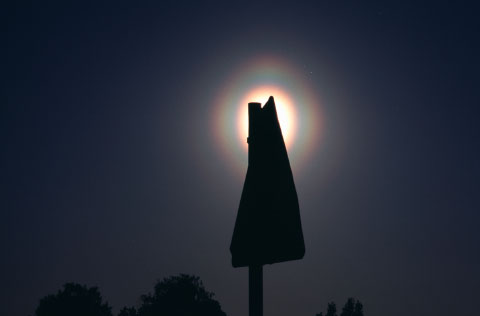 Siitep&ouml;lykeh&auml; Auringon ymp&auml;rill&auml;