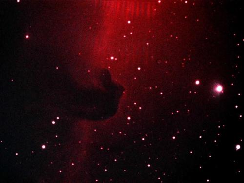 horsehead.JPG - 18108 Bytes
