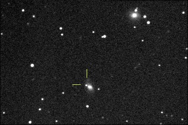 Supernova 2001dw in galaxy NGC1168, discovered by T. Boles