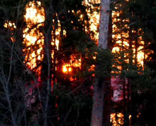 1.5.2020k4.29 (421K)