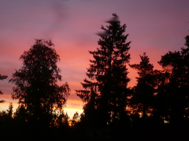 11.6.2015.2.38 (103K)