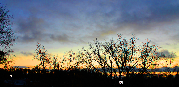 13.11.2017alasku (334K)