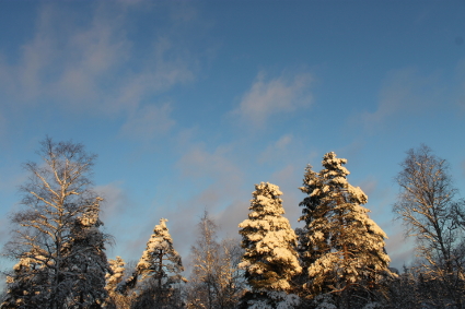 13.12.2017.5648 (121K)