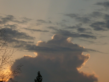 13.5.2010k20.41 (98K)