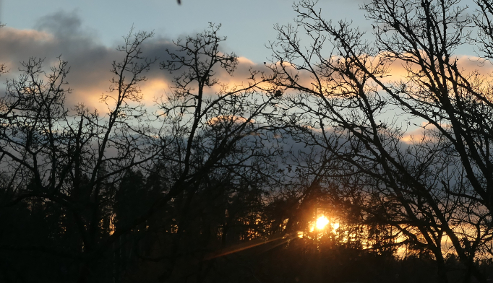 14.11.2018.k14.25 (177K)