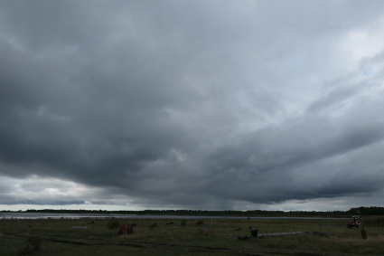 15.8.2018k16.20 (91K)