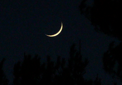 16.4.10k20.43 (131K)