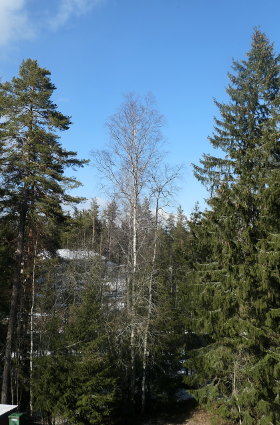 16.4.2020.iltap (259K)