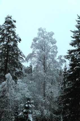 16.4.2020aamulla (160K)