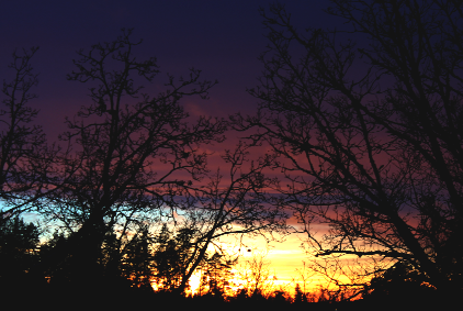 19.1.2017 17 17 (205K)