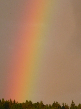 19.6.2015.sateenkaari (93K)