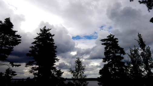 20160731_140819 (132K)