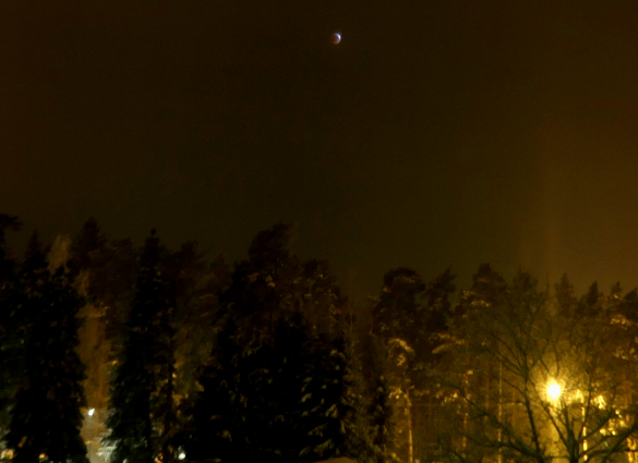 21.1.2019.17.24 (228K)