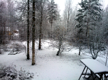 21.11.2015k9.56 (193K)